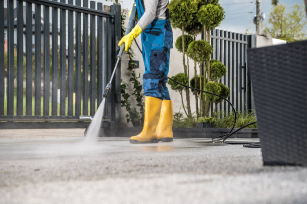 Best Roof Washing  in Franklin, NC
